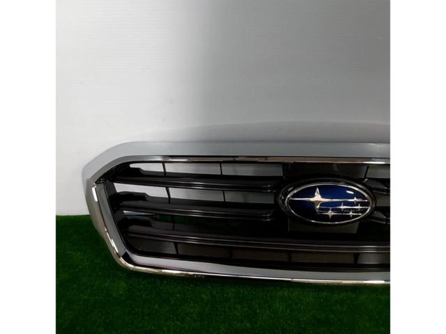 Pleiades
Revu~ogu / VM4
Previous period
Genuine front grille