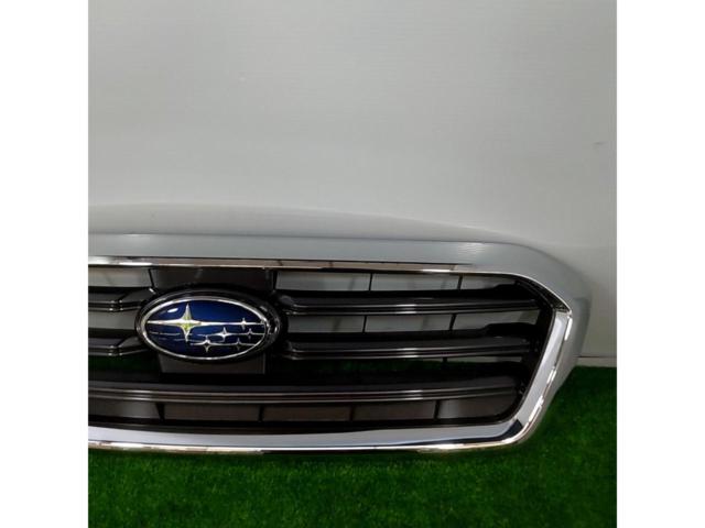Pleiades
Revu~ogu / VM4
Previous period
Genuine front grille