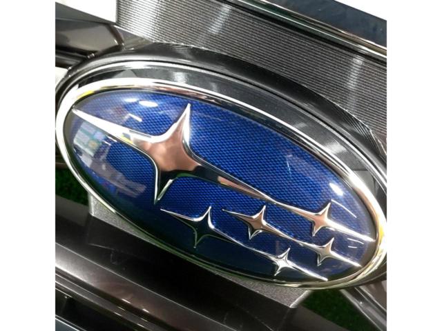Pleiades
Revu~ogu / VM4
Previous period
Genuine front grille