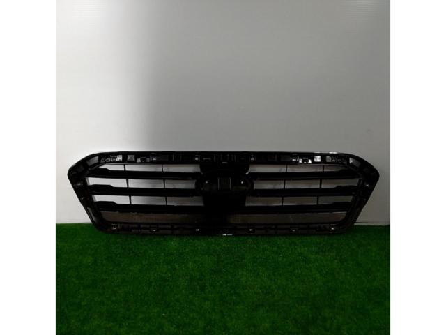 Pleiades
Revu~ogu / VM4
Previous period
Genuine front grille