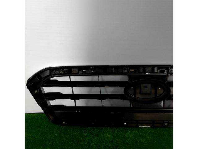 Pleiades
Revu~ogu / VM4
Previous period
Genuine front grille