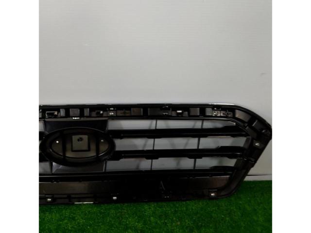 Pleiades
Revu~ogu / VM4
Previous period
Genuine front grille