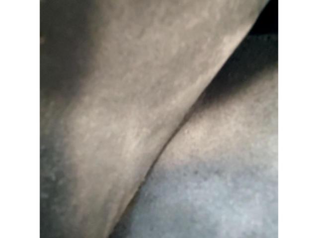 【サイズ:M】Rookie Leathers レザーパンツ