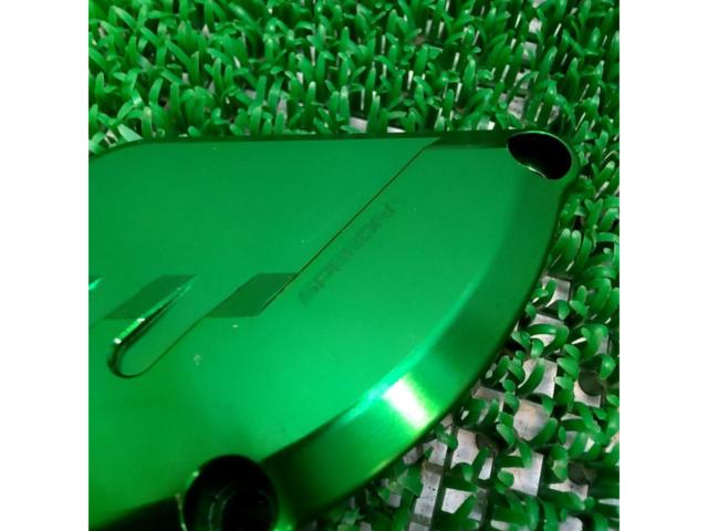 SPEEDRA
Engine cover
*Only the left side is Z900RS