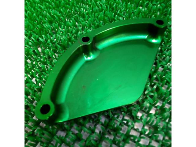 SPEEDRA
Engine cover
*Only the left side is Z900RS