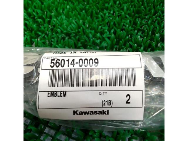 KAWASAKI
Emblem
99994-1020