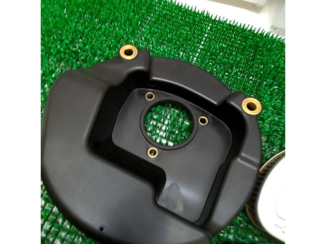Genuine air cleaner for FLTRXS