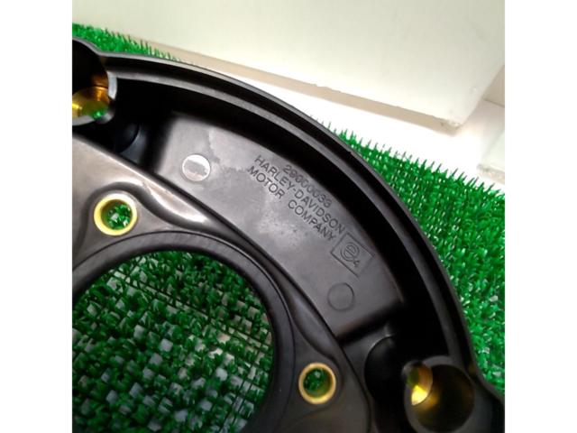 Genuine air cleaner for FLTRXS