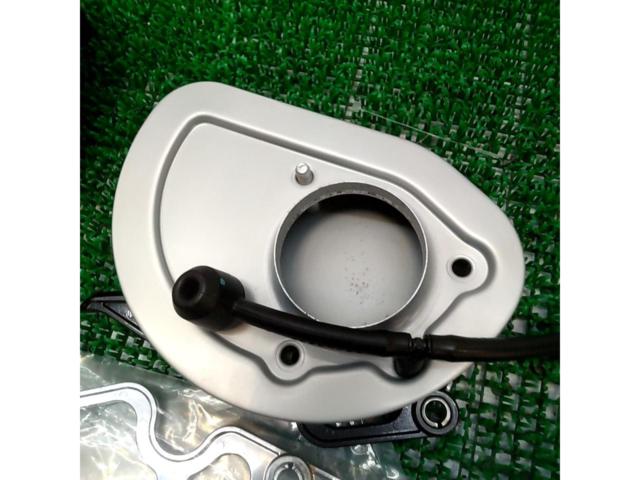 Genuine air cleaner for FLTRXS