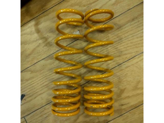 OHLINS
Twin rear shock spring
Model unknown