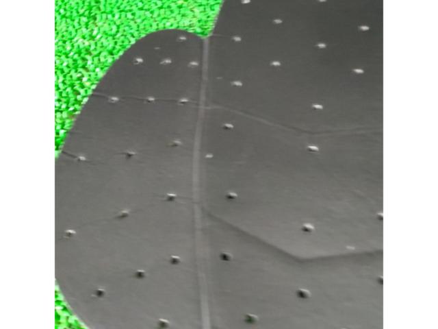 背面プロテクター