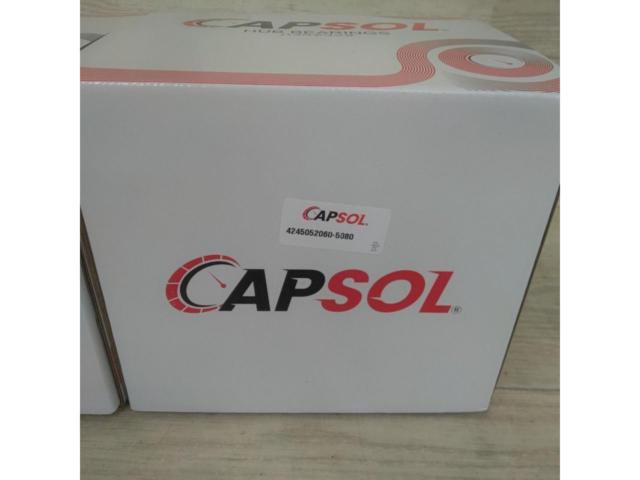 CAPSOL ハブベアリング 2個セットNHP10 アクア等