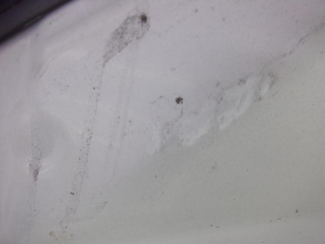 Subaru genuine
Bonnet