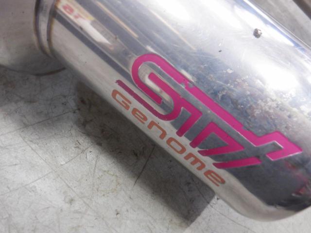 STIGenome Muffler