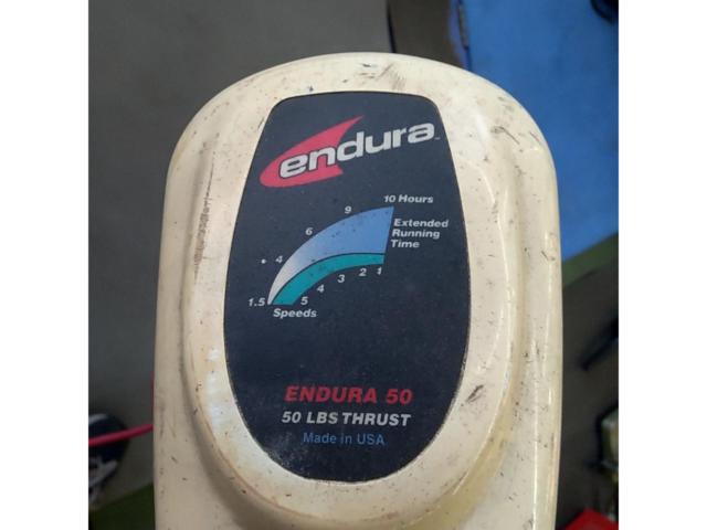 MINI KOTA endura50 淡水エレキ