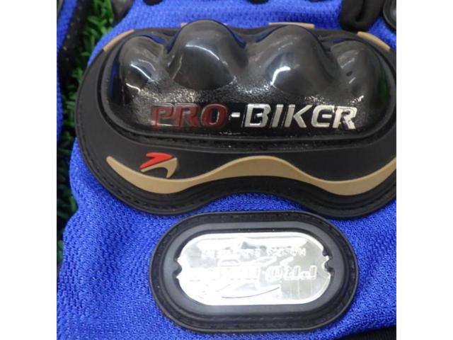 Rider's jacket size XXL PRO
BIKER
Protect Globe