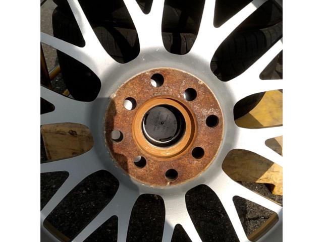 BBS (Bee-Bees)
RG(RG239)