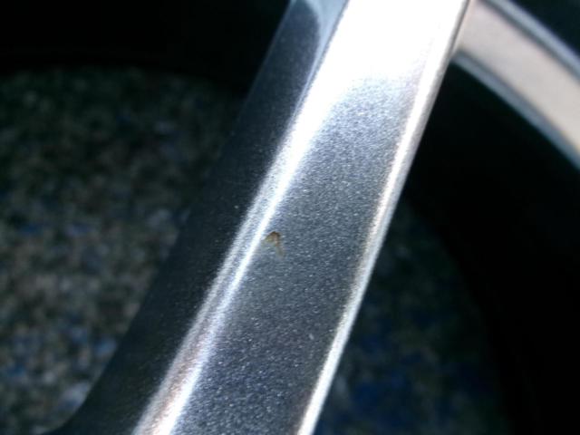 A-TECH(エーテック) SCHNEIDER(シュナイダー) StaX (5HOLE)  + KENDA(ケンダ) KR203 KENETICA ECO