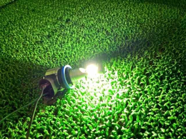メーカー不明 LEDバルブ