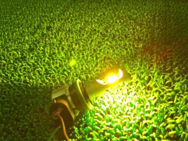 メーカー不明 LEDバルブ