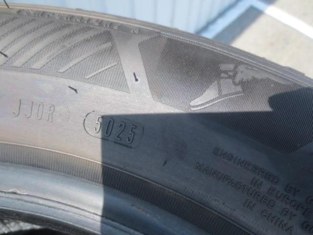 GOODYEAR EfficientGrip Performance 2