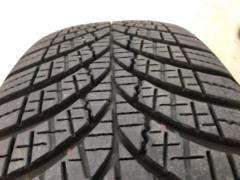 GOODYEAR Vector4Seasons