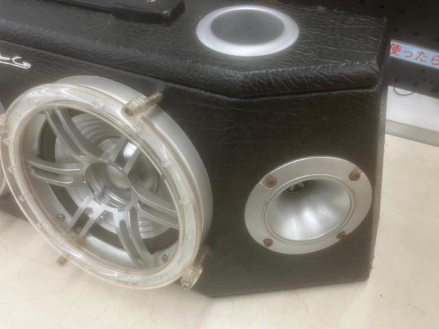 BLG Freestanding Speaker System