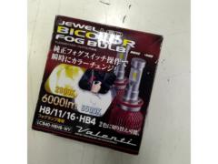 3Valenti
Jewel LED Bicolor Fog Bulbs