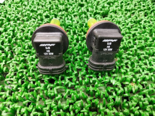 IPF H8 ハロゲンバルブ
