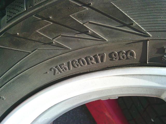 TOYO
Winter
TRANPATH
TX