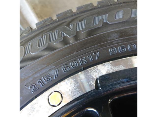[H] warehouse DUNLOP
WINTERMAXX
WM02