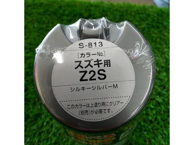 ソフト99 ボデーペン S-813