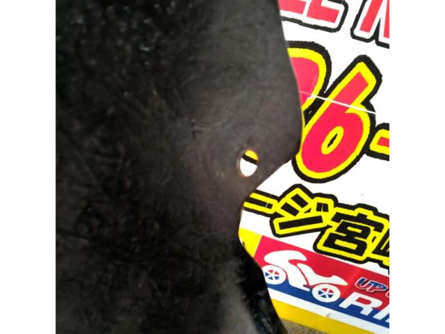 【ZRX400・1型】メーカー不明 テールカウル