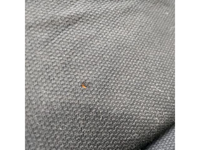 RECARO LX リクライニングシート ブラック