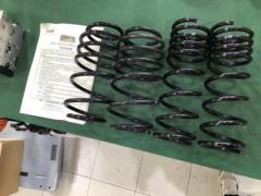 Racing Gear/レーシングギア ダウンサス (パレット)