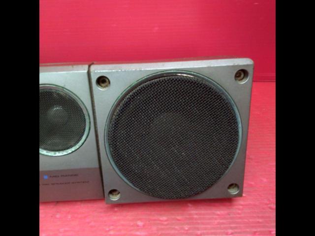 Defective PIONEER TS-X8
Lonesome Cowboy
Standing speaker