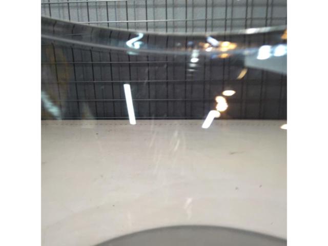 SHOEICWR-F2
Soft Smoke Mirror Silver
