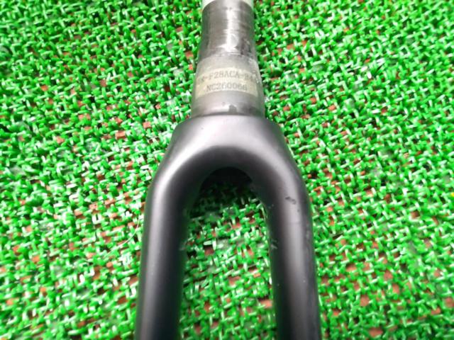 コラム長:190mm/エンド幅:100mm/700C対応 TREK OCLV  カーボンフロントフォーク アルミコラム ダイレクトマウント用 1-1/4