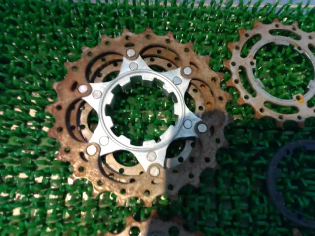 10S 11-23T SHIMANO 105 CS-5600 カセットスプロケット