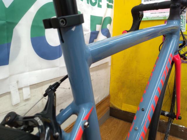 SPECIALIZED Allez ELITE 2019年モデル 105組み 700x25C 2x11S アルミロードバイク ブルー×レッド