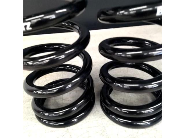BLITZ (Blitz)
62
220
008
Set of 2 coil springs
[Generic]