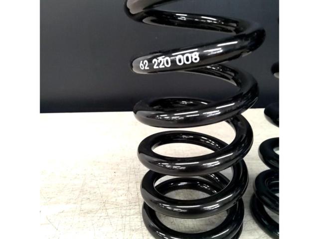 BLITZ (Blitz)
62
220
008
Set of 2 coil springs
[Generic]