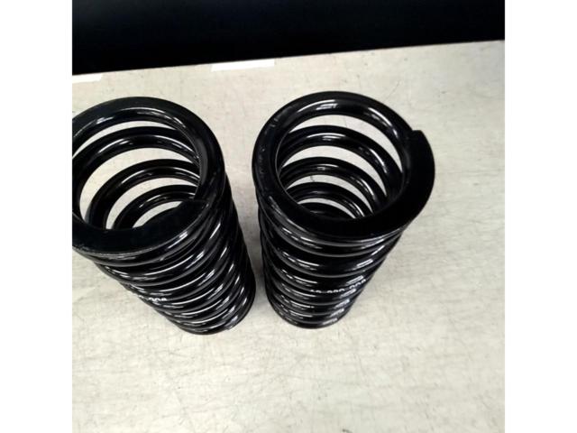 BLITZ (Blitz)
62
220
008
Set of 2 coil springs
[Generic]