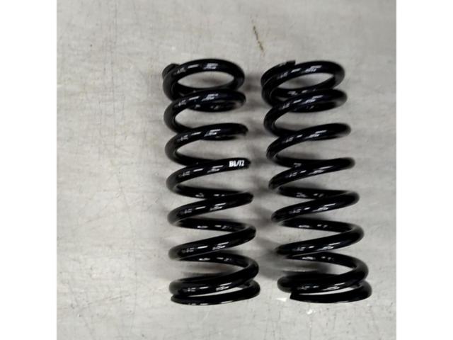 BLITZ (Blitz)
62
220
008
Set of 2 coil springs
[Generic]