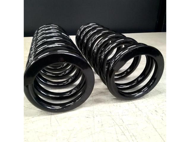 BLITZ (Blitz)
62
220
008
Set of 2 coil springs
[Generic]