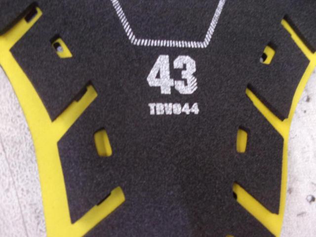 サイズ:43(XL・XXL)【RSTaichi】CEバックプロテクター
