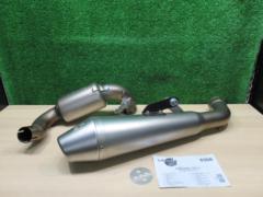 GP style
Slip-on silencer
DUKE
125 (11-16)
LeoVince