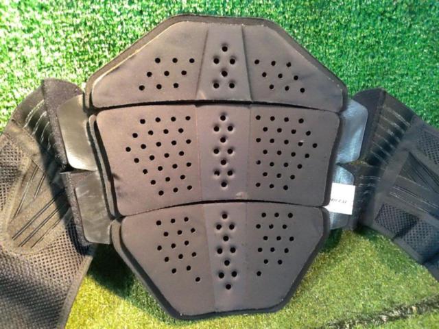 【DAINESE】メンズ D1 バックプロテクター ショートタイプ サイズ:S