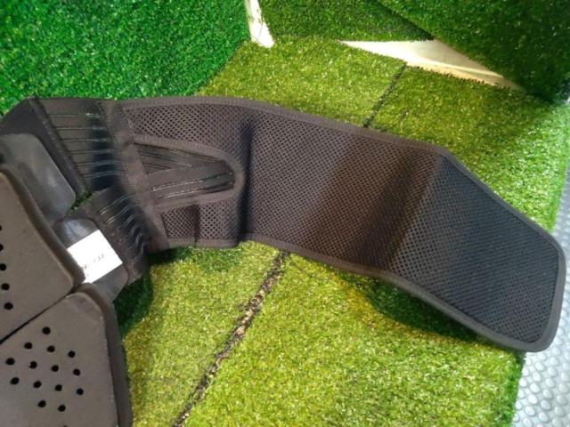 【DAINESE】メンズ D1 バックプロテクター ショートタイプ サイズ:S