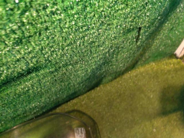 HONDA
Genuine front screen
Forza (MF08 / year unknown) removed